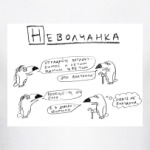 Туканы