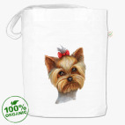 Йоркшир-терьер