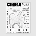 ЧАВО. Взрослый Самоед