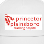 Princeton plainsboro