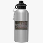 Спортивная бутылка