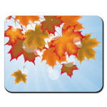 Осенняя пора