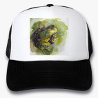 Кепки Trucker