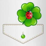 Кармашек с клевером