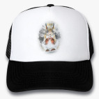Кепки Trucker