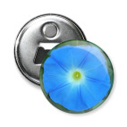 Голубая звезда