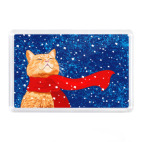 Новогодний котик в снегу