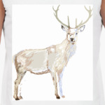 dear deer