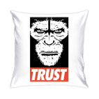 Подушка 35x35 см Верь