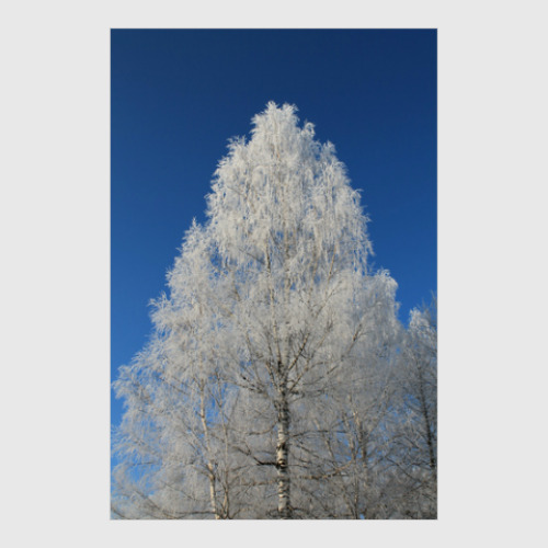 Постер с принтом Алмазная берёза