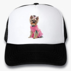 Кепки Trucker