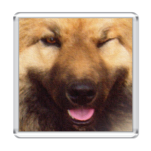 Магнит с принтом Собака Подмигивака