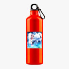 Металлическая бутылка 700 мл UV-DTF