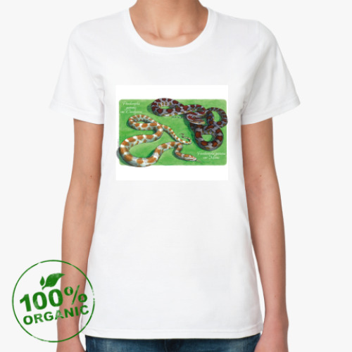 Женская футболка из органик-хлопка с принтом E.guttata miami