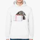 Толстовка худи