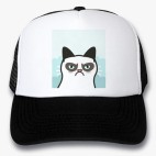 Кепки Trucker