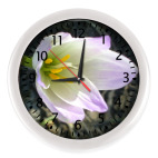 'Цветок западного ветра'