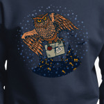 Совиная почта