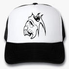 Кепки Trucker