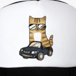 Крутой кот за рулём автомобиля