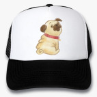 Кепки Trucker