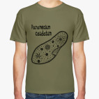 Paramecium caudatum