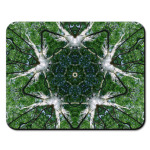 психоделика