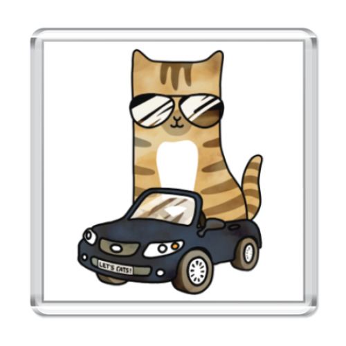 Магнит с принтом Крутой кот за рулём автомобиля