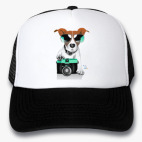 Кепки Trucker
