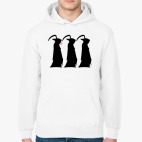 Толстовка худи