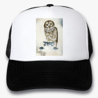 Кепки Trucker