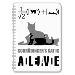 Котэ Шрёдингера