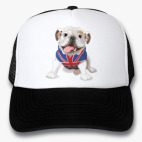 Кепки Trucker