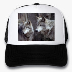 Кепки Trucker