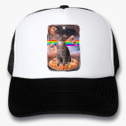 Кепки Trucker