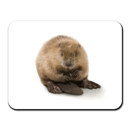 Коврик для мыши с принтом бобёр