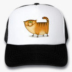 Кепки Trucker