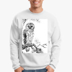 Сова на сосне