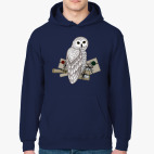 "Совиная почта"