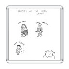 виды рода Homo