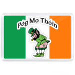 Póg mo Thóin