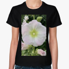 мальва, шток роза