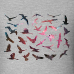 Космические птицы