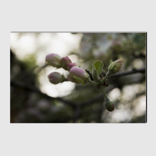 Холст с принтом 10-12-101-1004