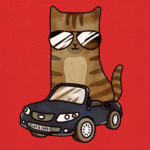 Крутой кот за рулём автомобиля