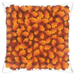 Солнечный ноябрь