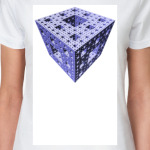 Губка Менгера