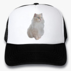 Кепки Trucker