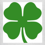 Клевер четырехлистник