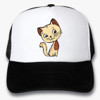 Кепки Trucker